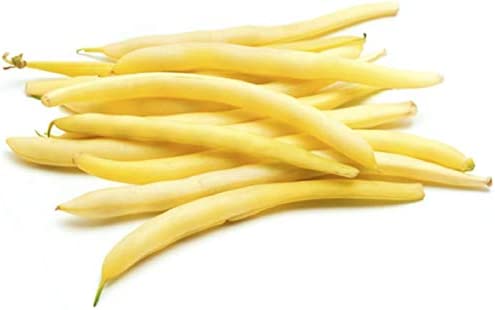 Fresh, Yellow Wax Beans – SCEFARMSTORE